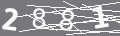 capsa